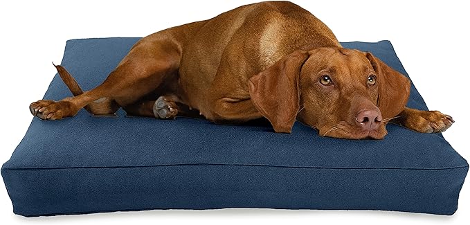 X-Small -24 x 18 x 4 - Blueberry Premium Organic Hemp Dog Bed - Organic Latex Fill - Removeable Cover