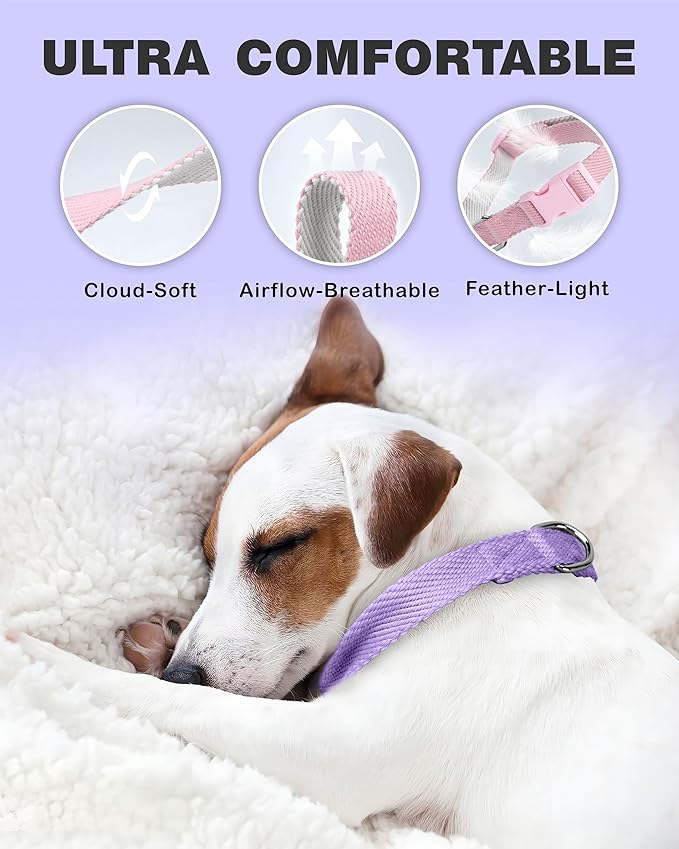 Dynmeow Soft and Breathable Cotton Dog Collar, Durable Adjustable Female Girl Pet Collar with Quick-Release Buckle, Lightweight for Sensitive Skin for Small and Medium Dogs, Purple, S