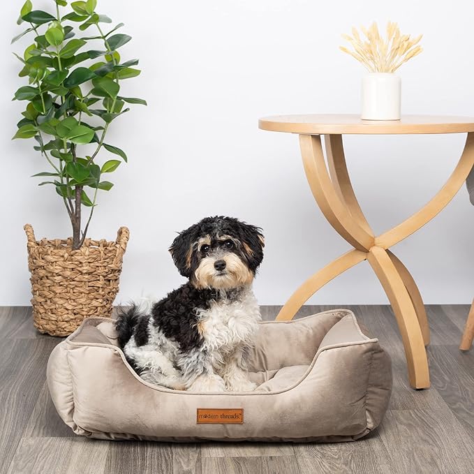 Modern Threads Luxury Dog Bed - Comfortable Tufted Velvet Cushion for Small to Medium Dogs - Machine Washable - Durable & Cute Sleep Space for Pets - Pamper Your Pet with Cozy Beds - Beige