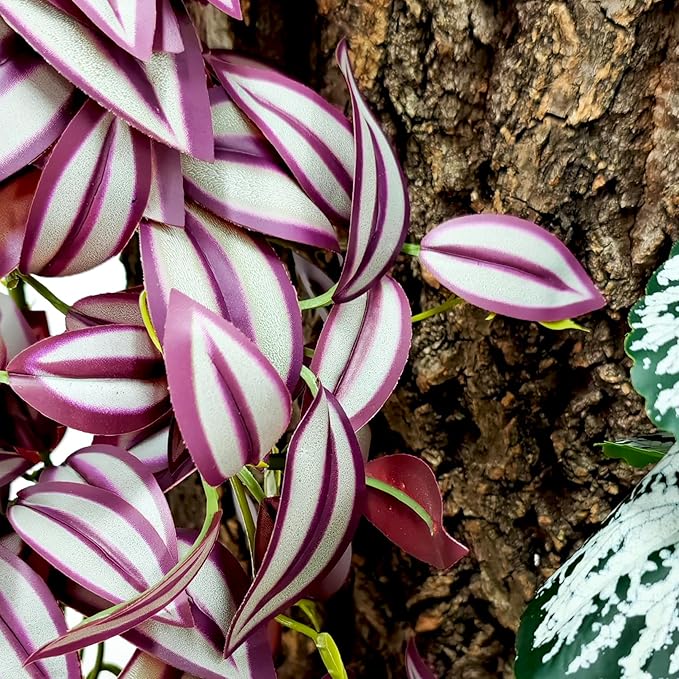Woyrise 2 Pack Reptile Plants, Terrarium Hanging Plant Vines, Artificial Leaves with Suction Cup, Bearded Dragon Tank Accessories for Gecko Lizard Snake Frog Tortoise Decorations - Zebrina Purple