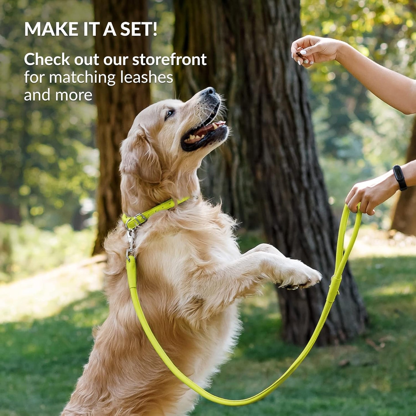 CollarDirect Rolled Leather Dog Collar, Soft Padded Round Puppy Collar, Handmade Genuine Leather Collar Dog Small Large Cat Collars 13 Colors (6-7 Inch, Lime Green Smooth)