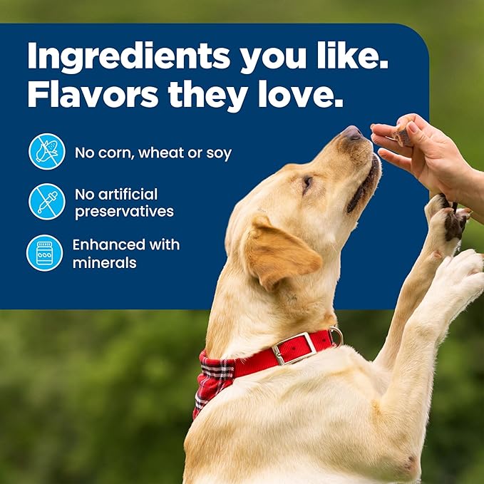 Nudges Blue Buffalo On The Go Dog Treats, Made in The USA with Natural Ingredients, Chicken, 5.5-oz. Bag