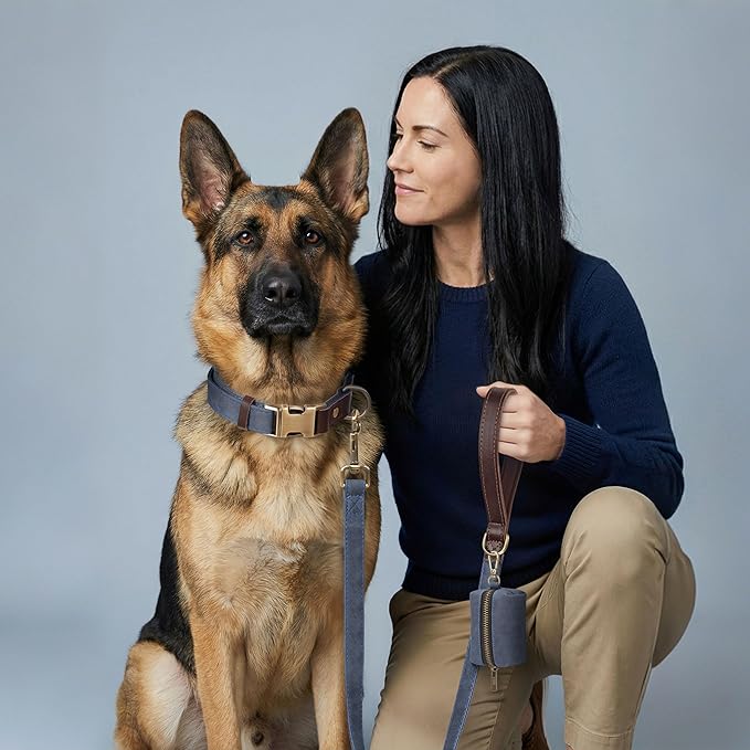 Didog Soft PU Leather Dog Collar for Large Dogs,Classic Adjustable Wide Dog Collars with Quick Release Metal Buckle,Easy Clean and Comfortable with Nylon Lining,Blue,XL Neck 20-27", Width 1.2"