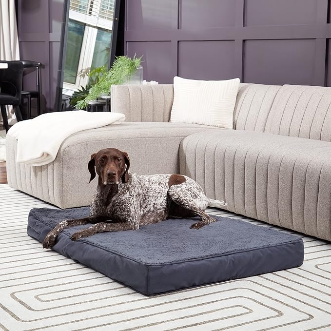 Happy Hounds Oscar Rectangle Orthopedic Foam Sherpa Dog Bed, Large (48 x 36 in.), Prussian Blue