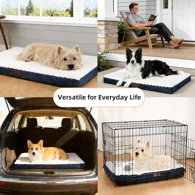 Orthopedic Dog Bed with Firm High-Density Egg Crate Foam,Soft Short Plush Surface Pet Beds,Machine Washable with Removable Cover & Non-Slip Bottom for Medium/Large Breeds (Blue, 35" L x 22" W x 3" H)
