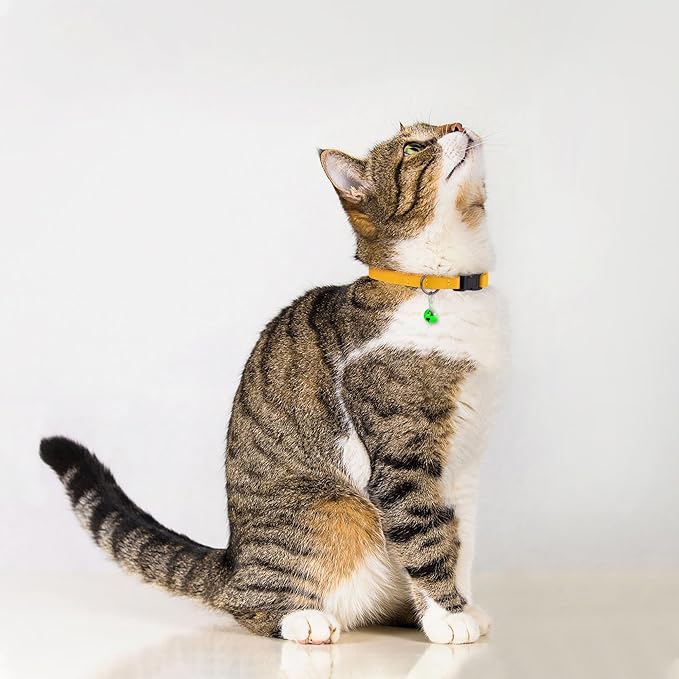 Breakaway Cat Collar with Bell - Leather Adjustable Kitten Collars with Safety Quick Release Buckle - Soft Small Pet Collars for Girl & Boy Cats (Yellow)