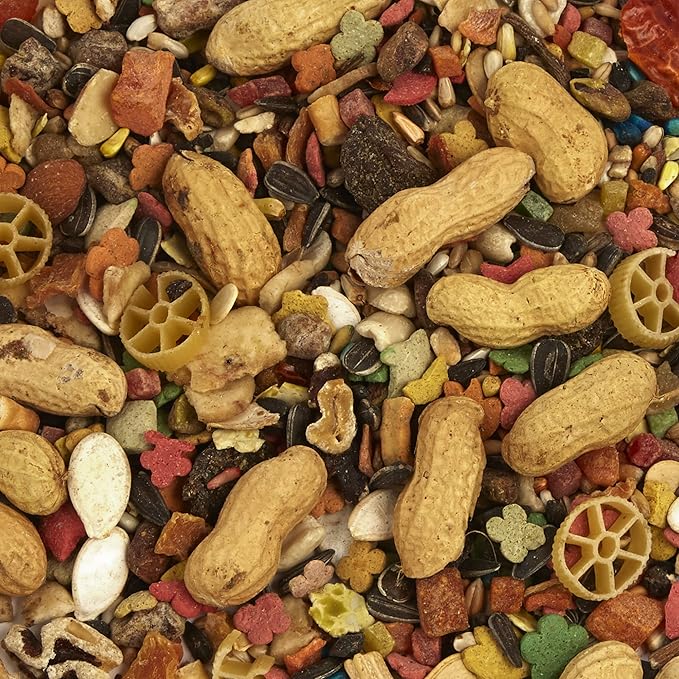 Tropical Carnival Small Hookbill Food – Gourmet Blend with Fruits, Nuts & Seeds, 10 Pounds, Omega 3 & Natural Preservatives, Supports Digestion