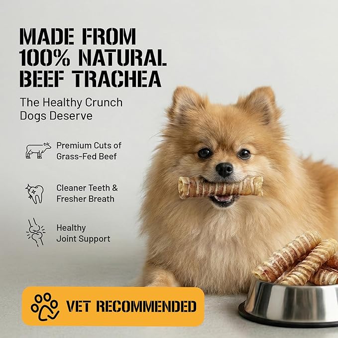 Dog Chits Beef Trachea for Dogs 1lb - 100% Single Ingredient, High Protein, Low Fat - Glucosamine for Joint Support - Dental-Clean Crunch - Digestible Rawhide-Free, Trachea Dog Treats - 3-4 inch