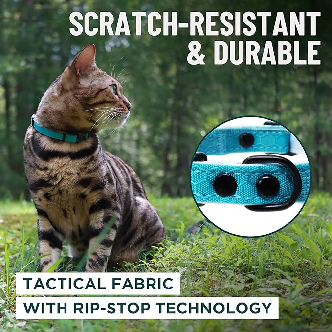 OutdoorBengal Red Breakaway Kitten Collar - Ultra Safe Quick Release Cat Collar for Small Kittens Under 6 Months – Soft-Padded, Lightweight, Adjustable, Thin and Comfortable, No Bell (Red, Kitten)