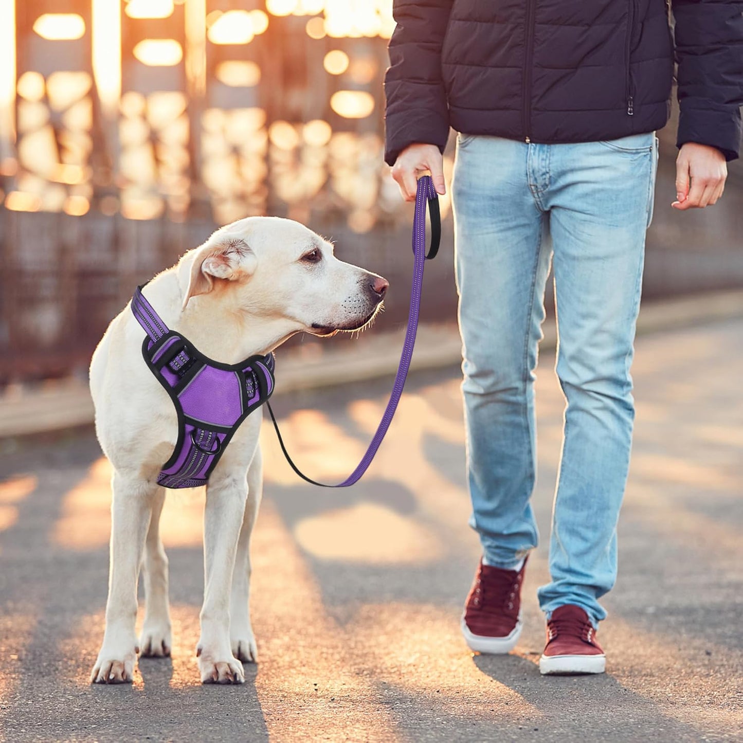 BUMBIN Dog Harness for Large Dogs, No Pull Adjustable No Choke Pet Vest with Dog Leash Fit Smart Reflective Pet Walking Harness for Training Easy Control Soft Handle Purple S
