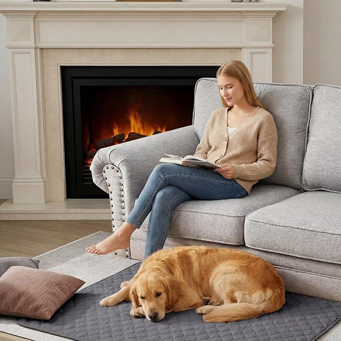 Waterproof Dog Bed Cover Pet Blanket Sofa Pet Bed Mat,Leak Proof Washable Incontinence Mattress Protectors,Suitable for People Who Cannot Take Care of Themselves,30x30 Inch Light Grey