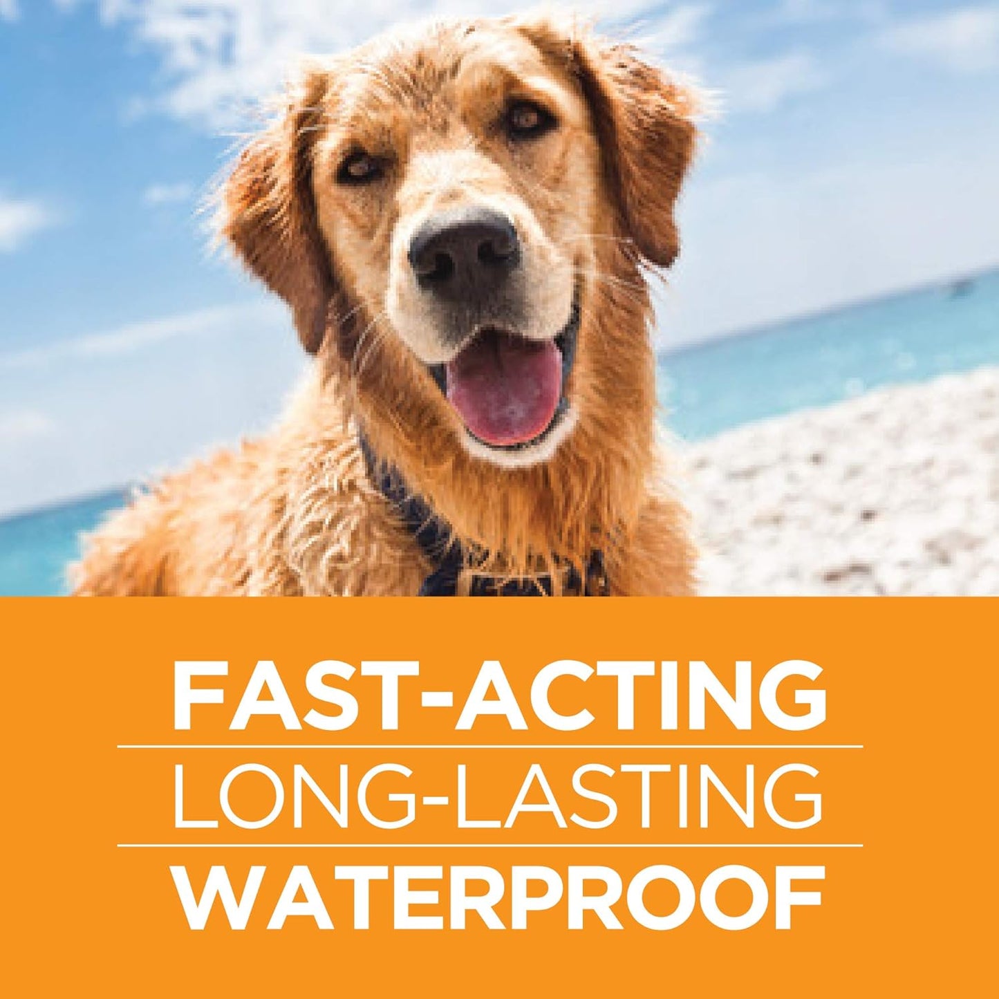 FirstAct Plus Flea Treatment for Dogs, Small Dogs 5-22 lbs, 6 Doses, Same Active Ingredients as Frontline Plus Flea and Tick Prevention for Dogs