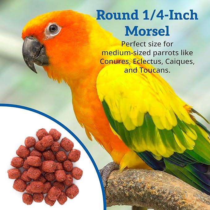 Scenic Apple Paradise Premium Parrot Food - Apple & Natural Flavors, High Protein, Low Iron Conure Bird Food, Eclectus & Other Small Pet Parrots, Omega 3, Vitamins & Minerals, 2 LB (Pack of 2)