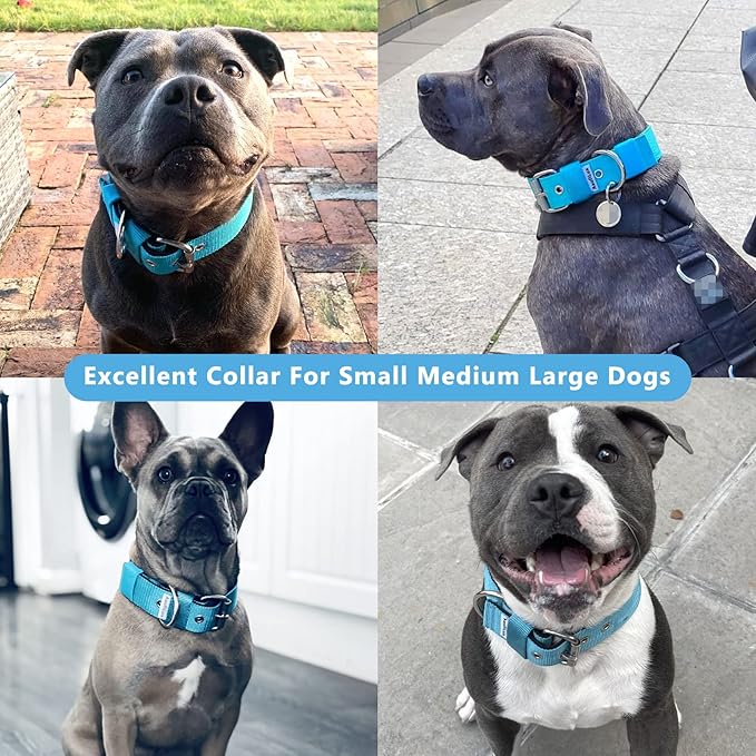 Heavy Duty Tactical Dog Collar - 1.5" Width Military Durable Thick Nylon with Adjustable Metal D Ring & Buckle Working Training K9 Collar for Medium Large Dogs (S(14"-17"), Light Blue)