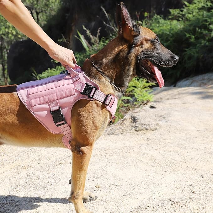 ICEFANG Tactical Dog Harness,Medium Size, 2X Metal Buckle,Working Dog MOLLE Vest with Handle,No Pulling Front Leash Clip,Hook and Loop Panel (Pink, M (Pack of 1))