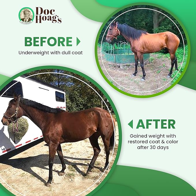 Doc Hoag’s Aloe Vera+Agave Premium Horse Supplement – Made in USA – Original Udder Balm – Natural Gastric Support for Horses & Large Animals – Stress Relief & Ulcer Care, 16 Fl Oz.