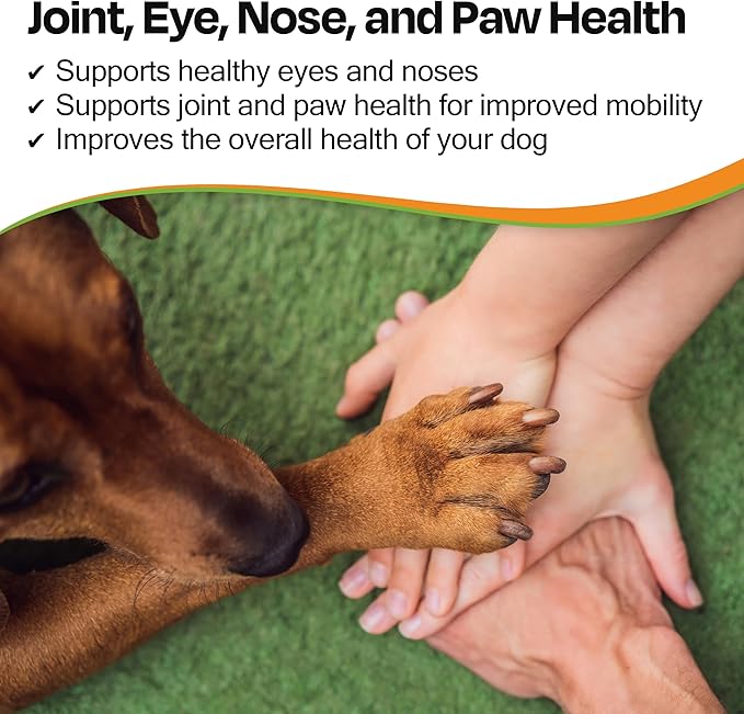 SeaBuck 7 Shiny Dog Sea Buckthorn Oil to Improve Dog Health (2-4 Month Supply, 60ml) – Supports Shiny Coat, Healthy Digestion, and Skin & Paw Pad Health for Dogs
