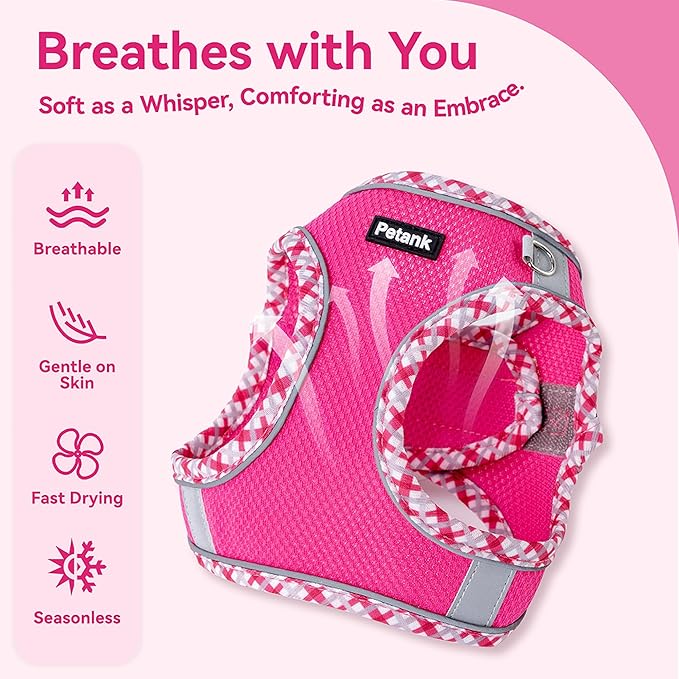 Petank Dog Harness for Small Medium Dogs No Pull, Puppy Harness and Leash Set for Walking, Running, Training, Small Dog Harness, Medium Dog Harness (Rose Red, XXS)