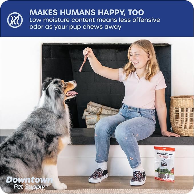 Downtown Pet Supply USA Sourced Bully Sticks for Dogs - Grass-fed Beef Chews, Low-Odor & Rawhide-Free, Long Lasting Dog Treats - Healthy, Safe & Delicious Chews (12" 10 Pack)