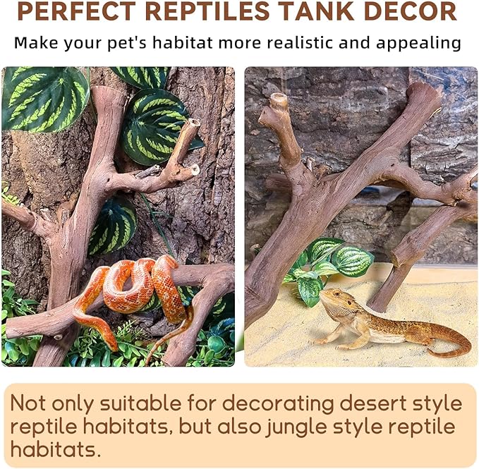 BNOSDM 2PCS Reptile Wood Branches Decor,Lizard Habitat Natural Wood Decoration,Snake Climbing Branch Accessories,Terrarium Tree Trunk Ornament for Bearded Dragon Gecko Frog Chameleon Spider