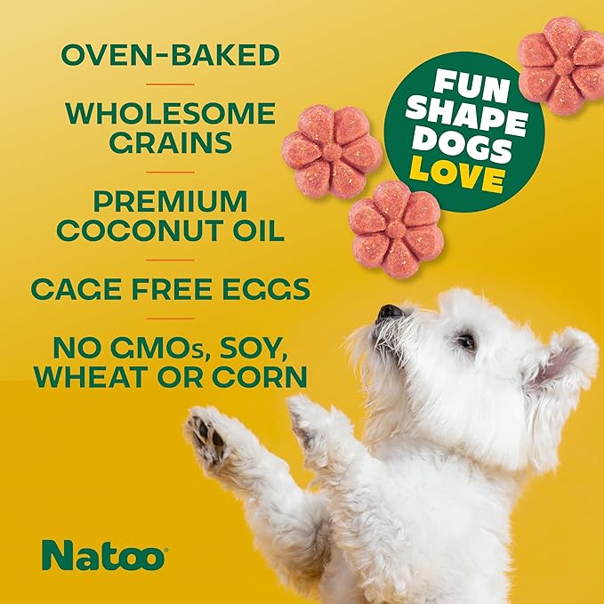 NATOO Biscuits for Small Dogs & Puppies Crunchy Dog Treats, Oats & Berry Healthy Natural Canine Biscuits, Rich in Omega 6, Prebiotics & Fiber, Antioxidants for Immunity (8 oz)