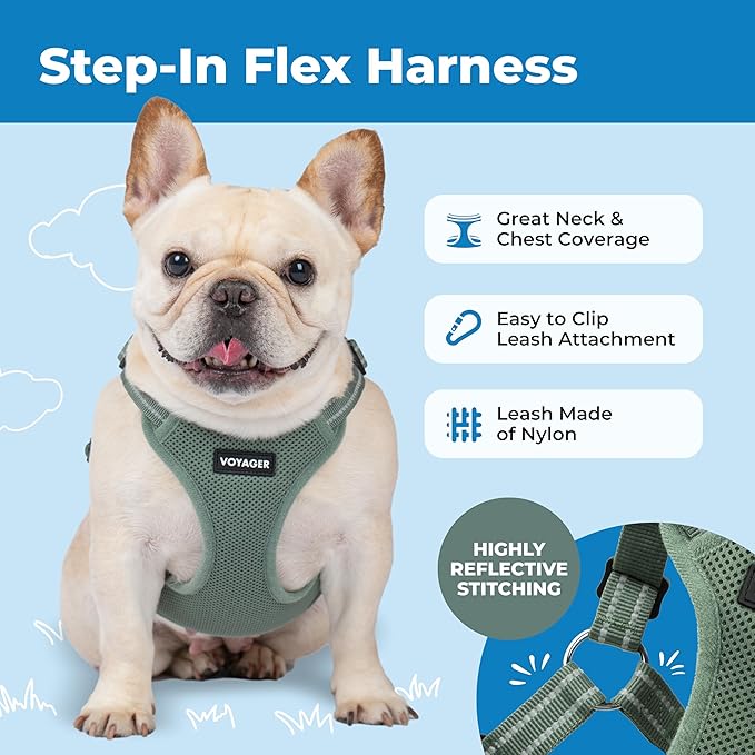 Best Pet Supplies Voyager Adjustable Step-in Flex Breathable Mesh Dog Harness for Small Medium Large Dogs Moss Green, XL