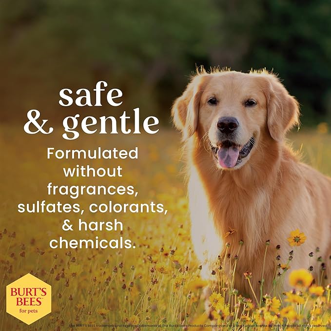 Burt’s Bees for Pets Oatmeal Dog Shampoo with Honey, Soothing Dog Shampoo for Itchy and Sensitive Skin, pH Balanced Formula That Gently Cleans and Moisturizes Dog Coats, 16 Fl Oz