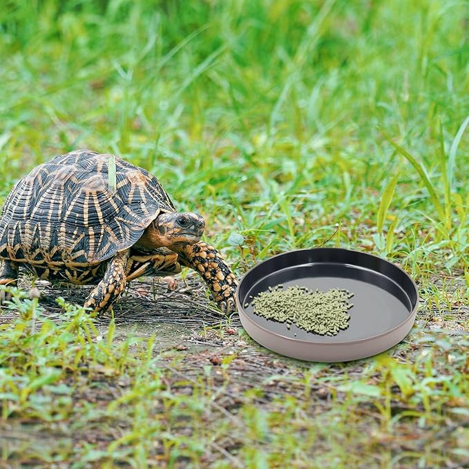 Reptile Feeder Kit, Food Water Bowl, Plastic Round Tortoise Feeding Dish, Amphibian Feeding Bowl, Tank Terrarium Accessories for Bearded Dragon Snake Hermit Crab Turtle Lizard Chameleon - 8 × 8 × 1"