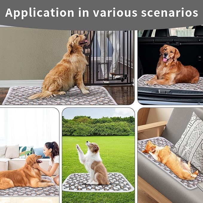 Dog Crate Mats, Soft Reversible Dog Bed Mat, Cat Mat - 36x24 Inch, Short Plush Pet Mat Crate Mat for Medium Dogs, 0.6-inch Thick Thin Dog Mat, Machine Washable Ideal for 36-Inch
