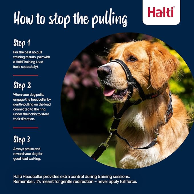 Halti Headcollar - Stop Your Dog Pulling on The Leash. Adjustable, Reflective and Lightweight, with Padded Nose Band. Dog Training Anti-Pull Collar for Small Dogs (Size 1, Desert Sand)