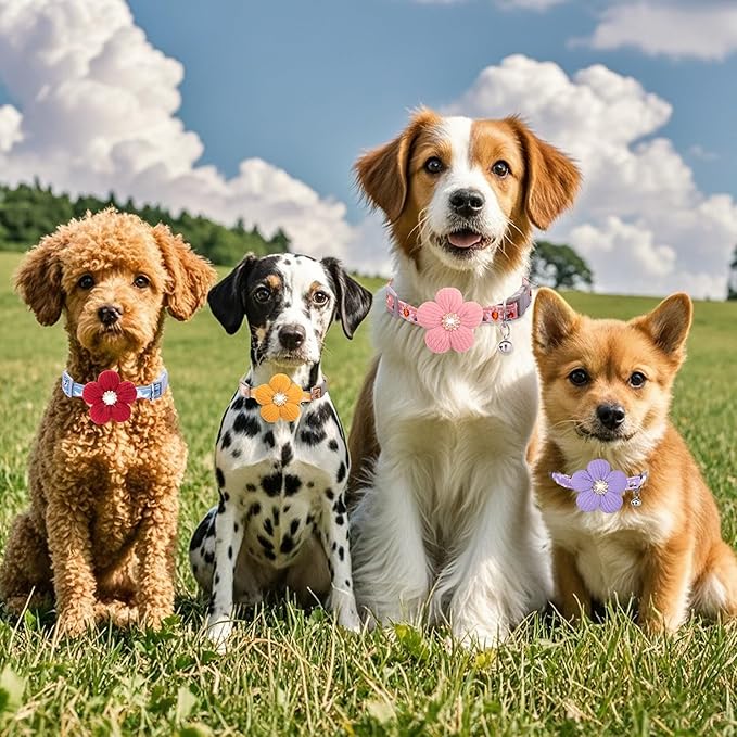 Medium Dog Collar with Flower, Dog Collars for Medium Dogs Collar for Girl Cute Dog Collar with Bell, Adjustable Length