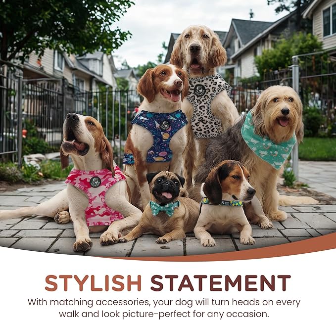 No Pull Harness and Leash Set - 6-in-1 Adjustable Vest Harness and Collars for Medium and Large Dogs. (Tile Unicorn, Extra Small)