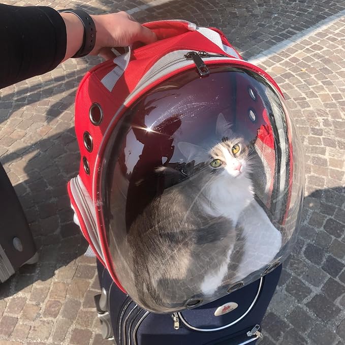 Cat Backpack Carrier, Back Expandable Pet Backpack with Bubble Window, Airline Approved Pet Travel Bag for Small/Medium Cats & Puppies, Hiking, Camping, Outdoor Use (Red)