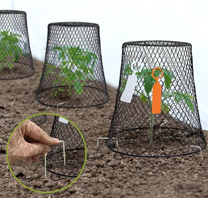 20 Pcs 9"×9" (Multiple Sizes/Quantities Available) Chicken Wire Plant Protectors from Animals, Plant Cage Garden Cloche to Protect Plants Vegetables from Rabbits Squirrels Chicken