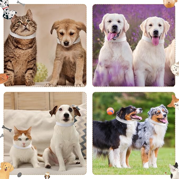 500 Count 20inch Adjustable Paper Dog Collars with Tear Resistant Waterproof Whelping Collars Paper Puppy ID Bands Adhesive Pet Identification Tags for Newborn Dog Cat Hospitals(White)