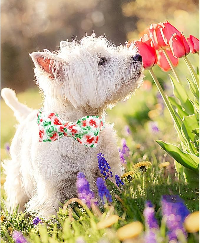 Lionheart glory Dog Collar Bow Collar Floral Dog Collar with Bow Tie Spring Summer Cute Collar Dog Boy or Girl Dog Collars Soft Durable Adjustable Dog Collars for Small Dogs