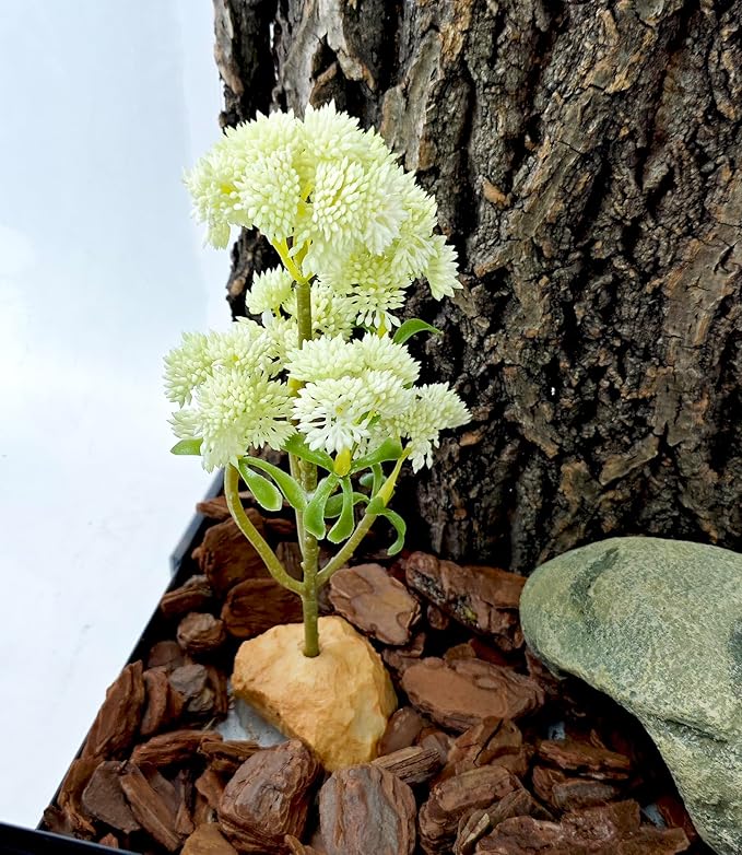 Woyrise Reptile Plants Succulent, Artificial Desert Plant for Terrarium Decor, Bearded Dragon Tank Accessories fit Gecko Lizard Chameleon Ball Python Snake - White Hylotelephium