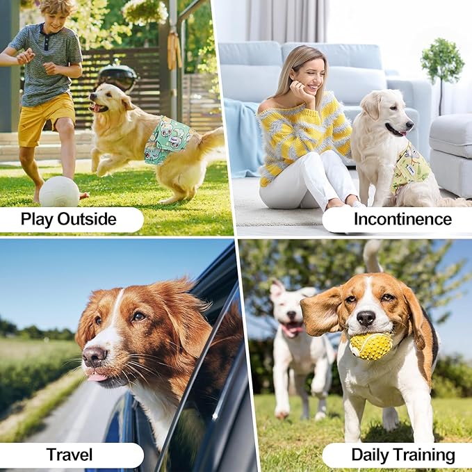 Washable Male Dog Diapers Reusable, Premium Belly Bands for Male Dogs, Pack of 3, High Absorbing Extra Small Male Dog Pee Wraps for Doggie in Incontinence or Excitable Urination and Training(XS)
