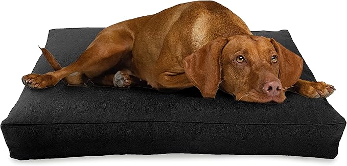 X-Small -24 x 18 x 4 - Black Premium Organic Hemp Dog Bed - Organic Latex Fill - Removeable Cover