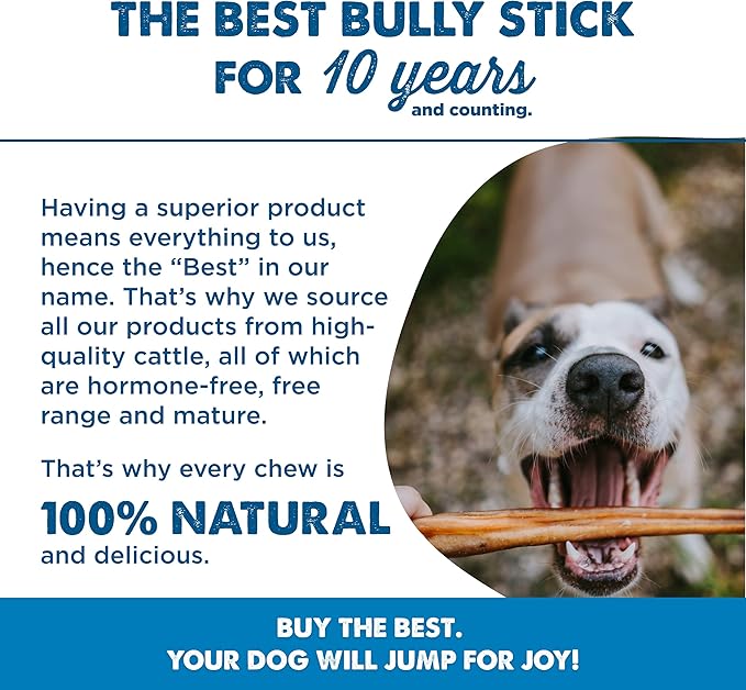 Best Bully Sticks 12 Inch Bully Sticks for Dogs - 3 Count (Pack of 1) - Natural, Easily Digestible, Grass-Fed Beef, Grain and Rawhide Free - Trial Size