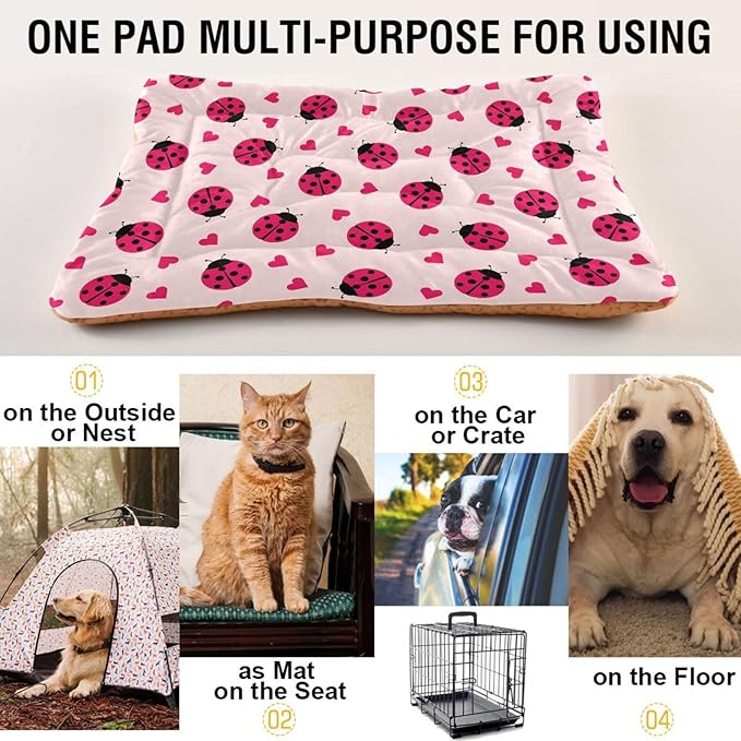 Ladybug Hearts Pet Bed Cute Dog Bed Mat Absorbing Non Slip Pad Pet Sleeping Mat for Small, Medium, and Large Dogs Puppy Cat 24 in x 18 in
