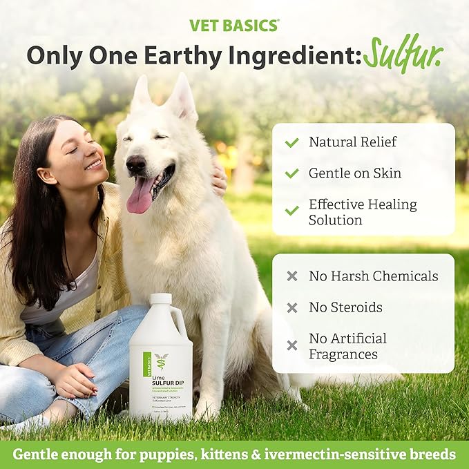 Vet Basics Lime Sulfur Dip – Skin Itch Relief Concentrated Antimicrobial & Antiparasitic Solution for Dogs, Cats, Puppies, Kittens & Horses, Helps Manage Ringworm, Mange, Skin Irritation, 1 Gallon