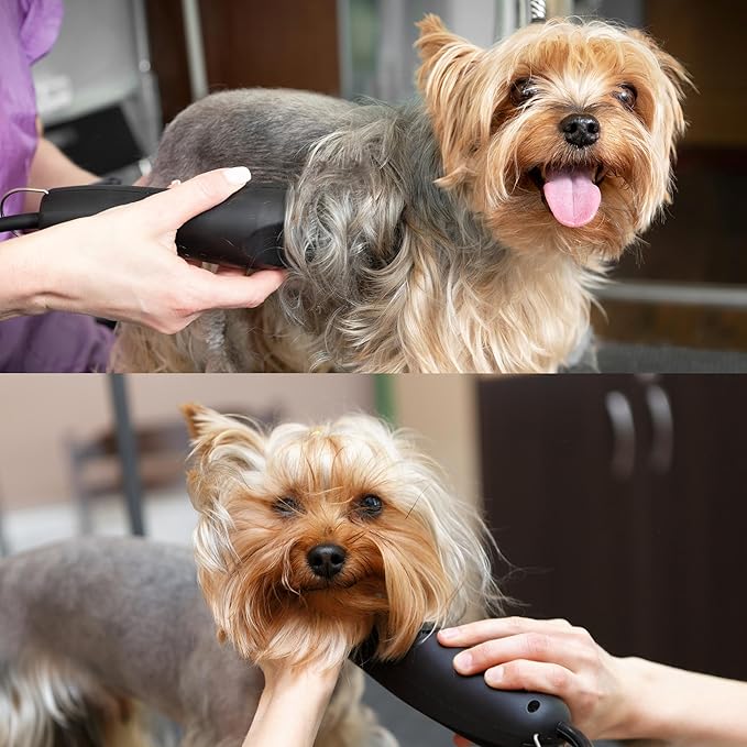 Detachable A Series 6f Blade Dog Grooming Cuts Length 3/16" - 4.8mm Japanese High Carbon Steel Dog Grooming Blade Supplies | Detachable Blade Clippers (Compatible A5 Series(B6F)