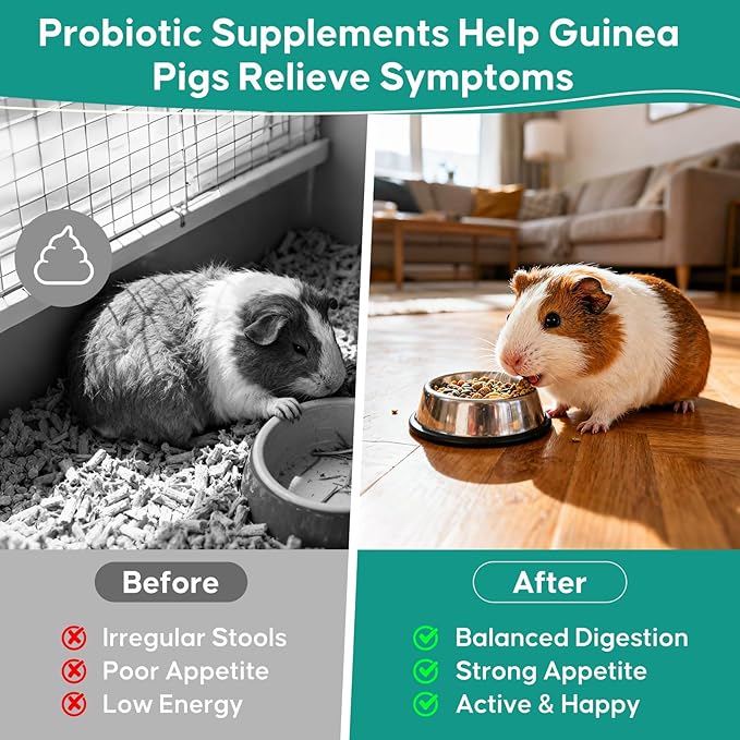 Probiotics for Guinea Pigs, All-Natural Digestive Support Powder, Easy to Mix Daily Gut Health Supplement for Guinea Pig, Helps with Soft Stool, Stress, Diet Change, 1 Billion CFU, 228 Servings