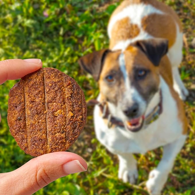 Cloud Star Wag More Bark Less Sliders Dog Treats, BBQ Chicken, 8 oz. Bag