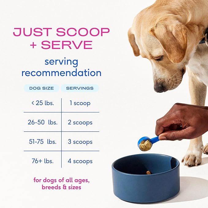 Native Pet Advanced Care - Hip & Joint Supplement for Dogs - Supports Joints, Cartilage, Muscles & Anti-Inflammatory with HMB, UC-II Collagen, Green Lipped Mussel & Hyaluronic Acid - 60 Scoops