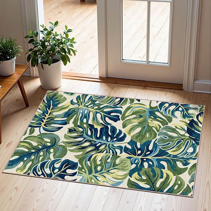 Front Door Mat Outside Entrance