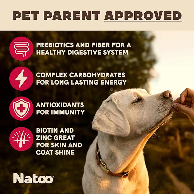 NATOO Biscuits for Small Dogs & Puppies Crunchy Dog Treats, Oats & Berry Healthy Natural Canine Biscuits, Rich in Omega 6, Prebiotics & Fiber, Antioxidants for Immunity (8 oz)
