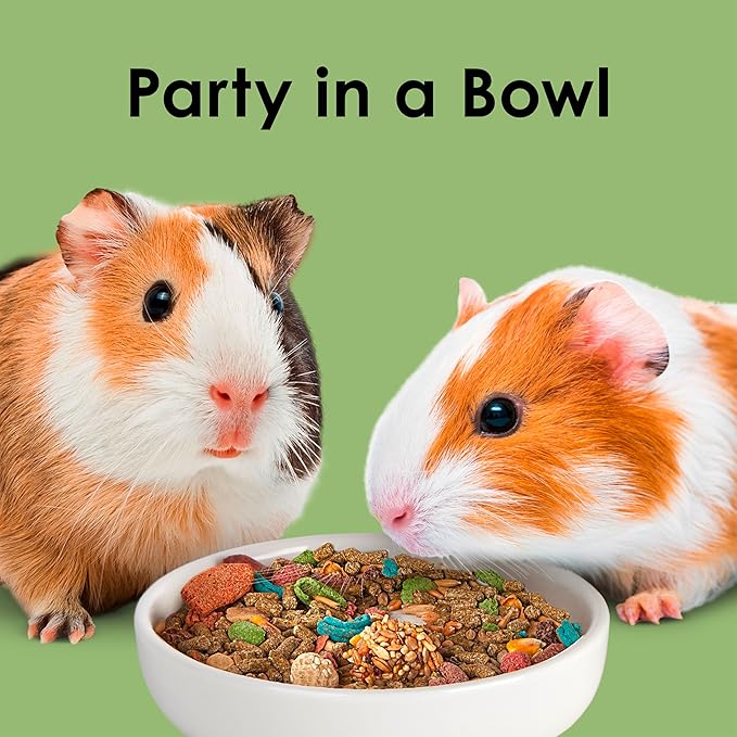 Kaytee Fiesta Guinea Pig Food, Nutritious and Fun Blend, Supports Dental Health and Digestion, 25 pounds