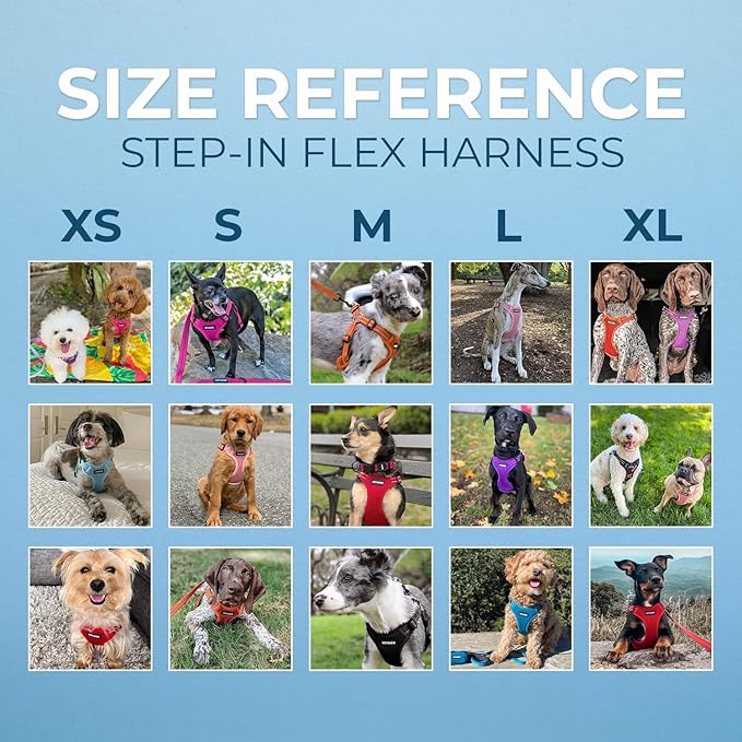 Best Pet Supplies Voyager Adjustable Step-in Flex Breathable Mesh Dog Harness for Small Medium Large Dogs Leash Set (Purple), XL